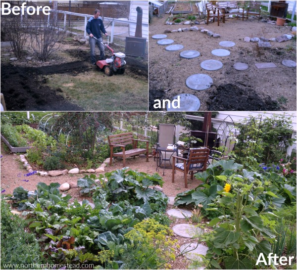 Replace Your Lawn With Food Production - Before and After picture. 