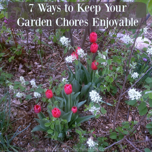 A vegetable garden can be a beautiful and productive place of enjoyment. Here are 7 Ways to Keep Your Garden Chores Enjoyable you do not want to miss. 