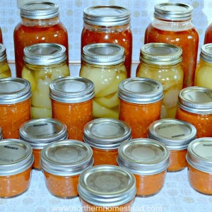 Preserving the harvest is an important task here at Northern Homestead. Here is a journal of Canning Recipes 2016.