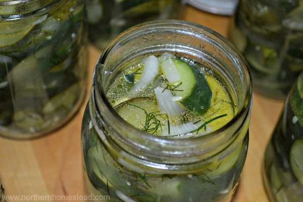 Canning Recipes Cucumber salad