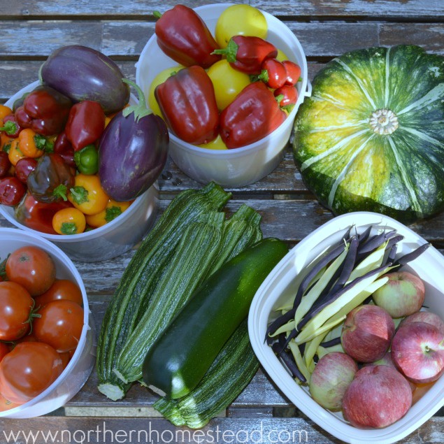 End Of Season Garden Update 2016 Northern Homestead