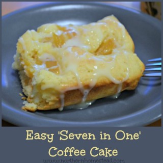 Easy Seven in One Coffee Cake. You can make many variety out of one simple recipe. It is always a hit! Yum!