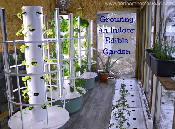 Growing an Indoor Edible Garden