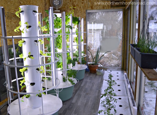 Hydroponic Fertilizer: The Key to Indoor Gardening