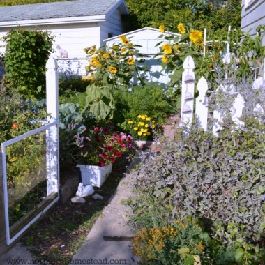 Microclimates in a Northern Garden - Northern Homestead