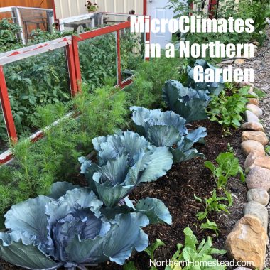Microclimates in a Northern Garden - Northern Homestead