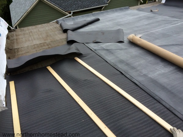Pond Liner for a Flat Roof