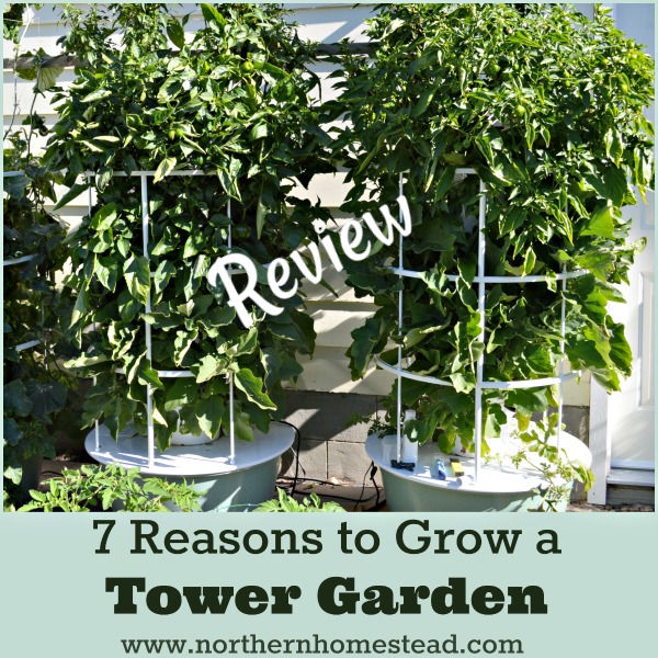 7 Reasons to Grow a Tower Garden - Review