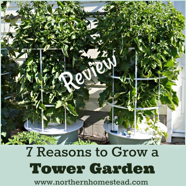 7 Reasons To Grow An Aeroponic Tower Garden Review Northern Homestead