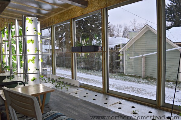 A Greenhouse for Winter Growing