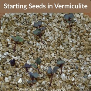 Combine starting seeds in vermiculite with all the other methods to start seeds by using it as a first very simple step. Here we cover the how-toe's.