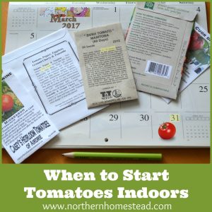 When to Start Tomatoes Indoors