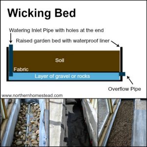 The DIY wicking bed for the greenhouse is a great self watering raised bed. Filled with good soil mix it waters the plants from the bottom up.