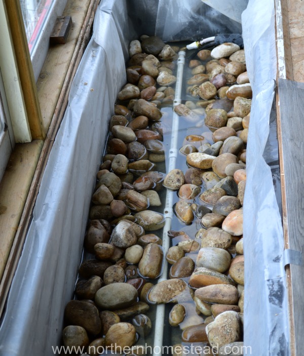 A Wicking Bed for the Garage Greenhouse