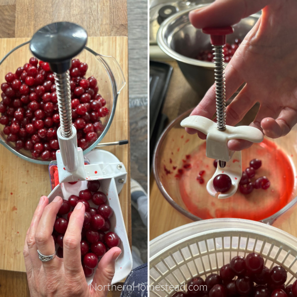 Canning cherries in syrup