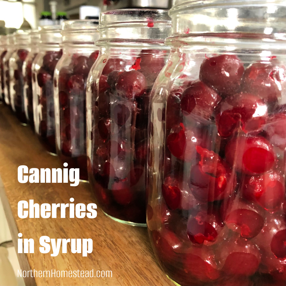 Canning Cherries in Syrup