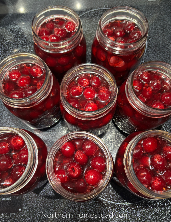 Canning Cherries in Syrup