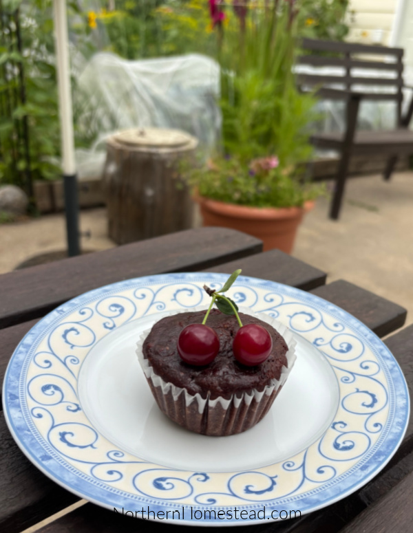 Canned cherries in baking