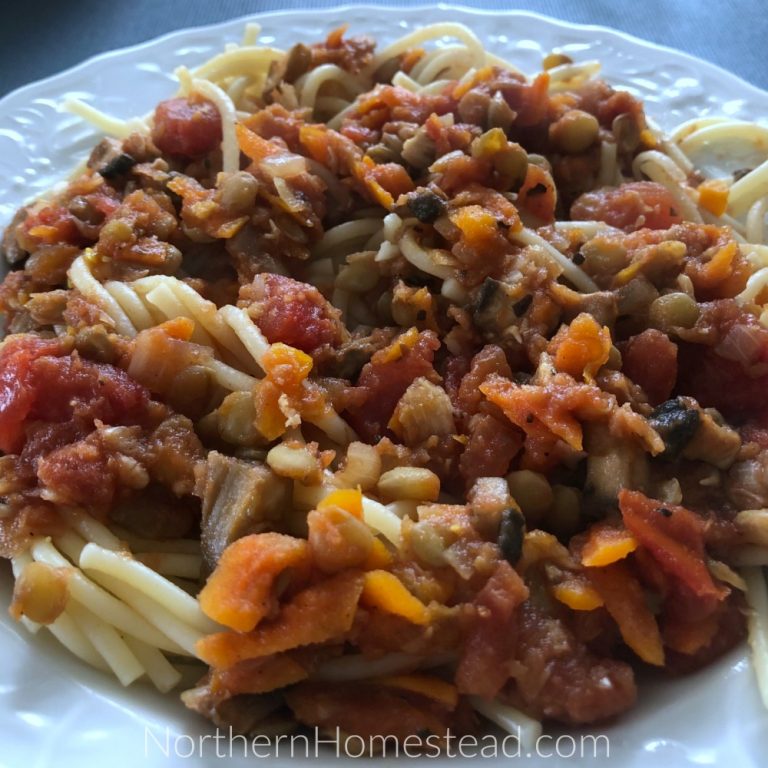 Plant Based Spaghetti Bolognese Sauce - Northern Homestead