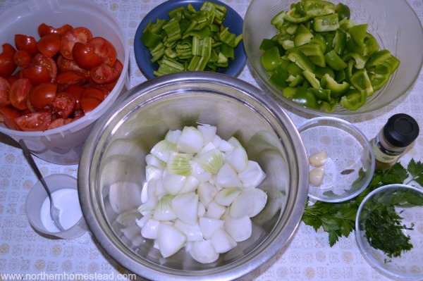 Canning Homemade Tomato Salsa