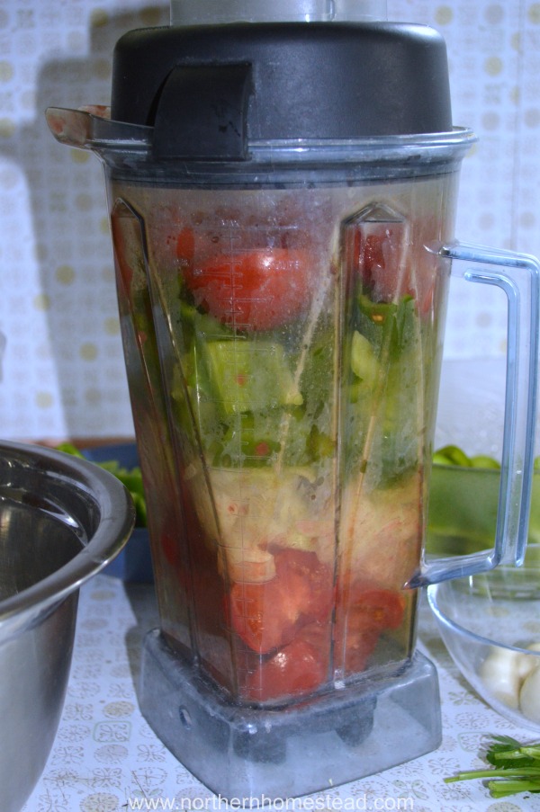 Canning Homemade Tomato Salsa