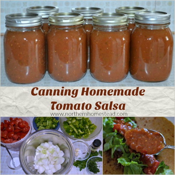 Canning homemade tomato salsa recipe using only homegrown vegetables and herbs from the home garden. This is a yummy salsa. 