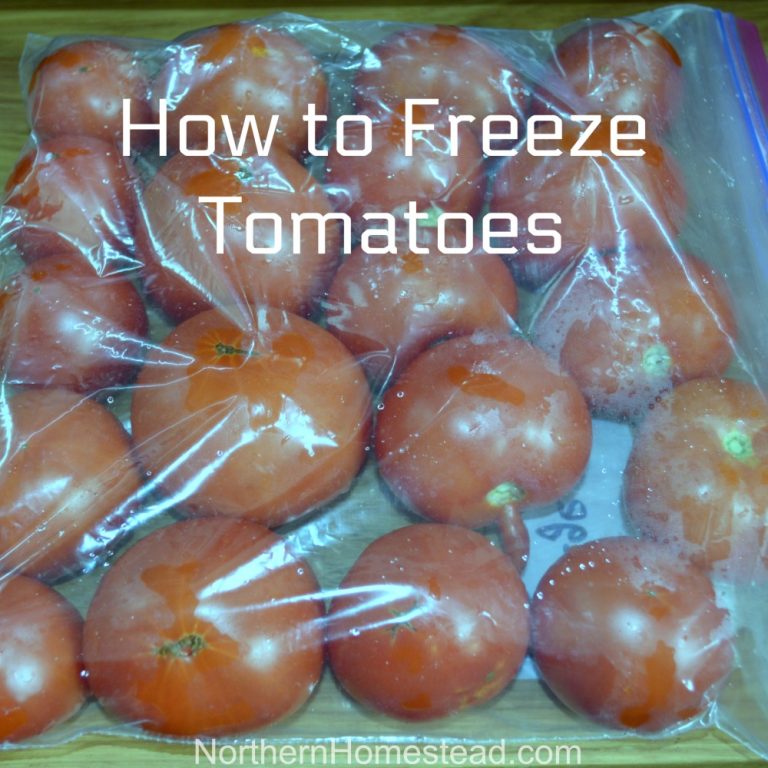 The Easiest Way to Preserve Tomatoes Northern Homestead