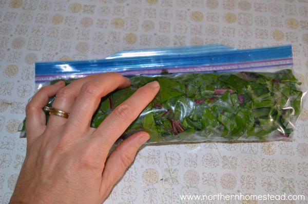 How to Freeze Greens