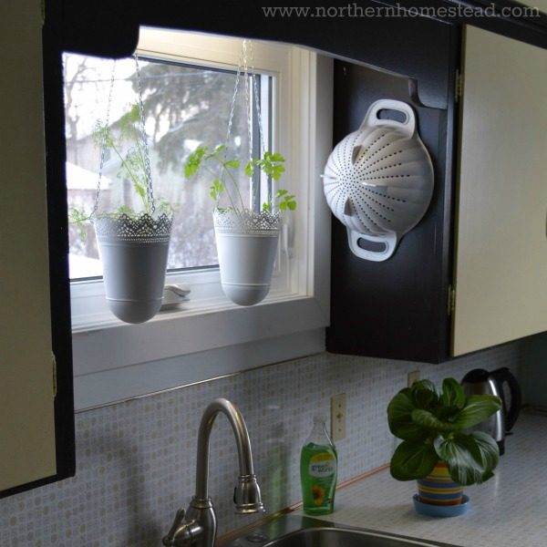 Location is everything! Not every window is equally good for a window garden, let's see where to grow an edible window garden.