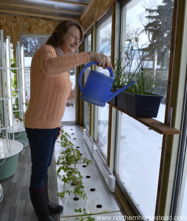 A happy place - edible window garden