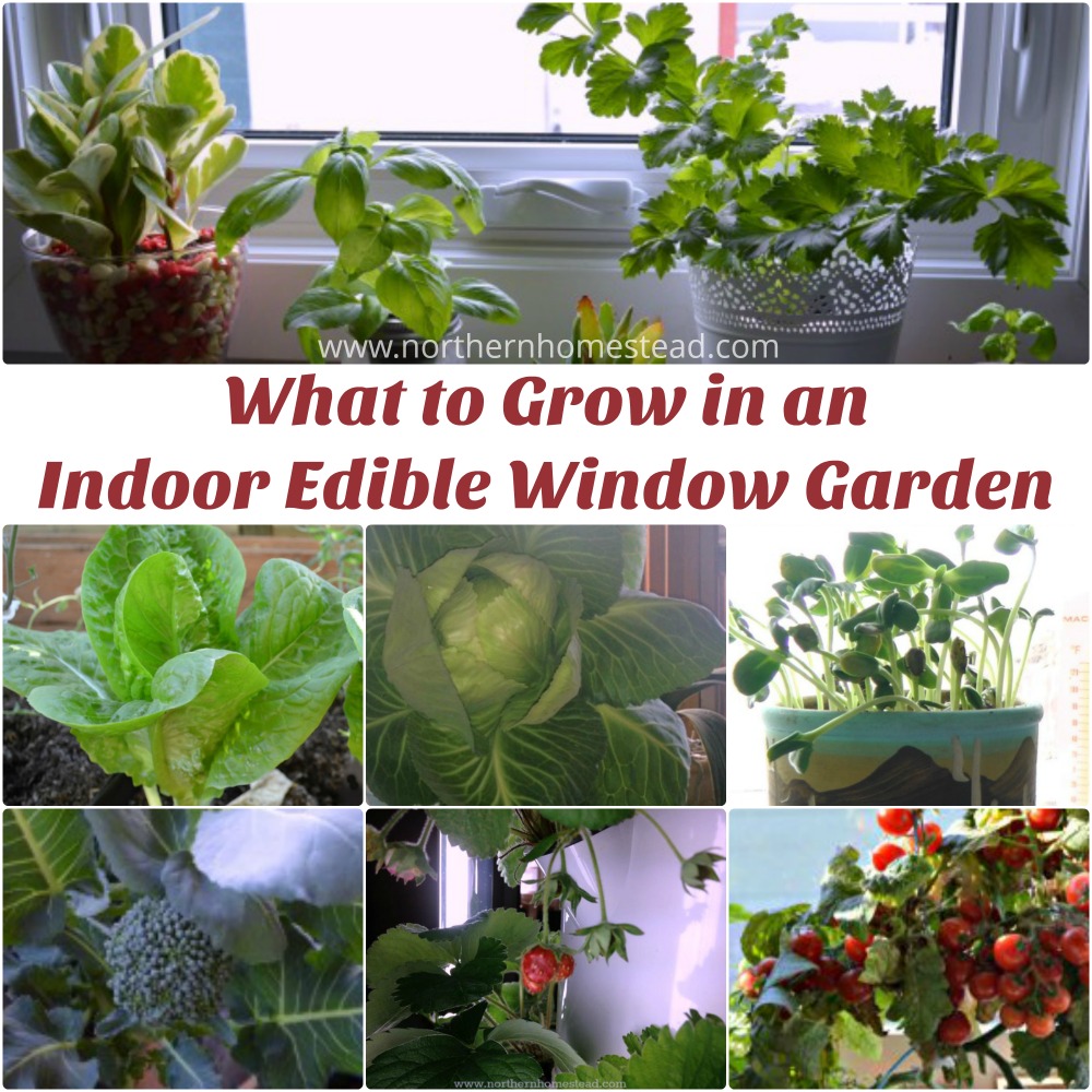 50 Garage & Indoor Garden ideas  indoor garden, garden, vegetable garden