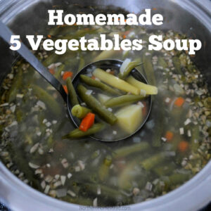 Homemade 5 Vegetables Soup
