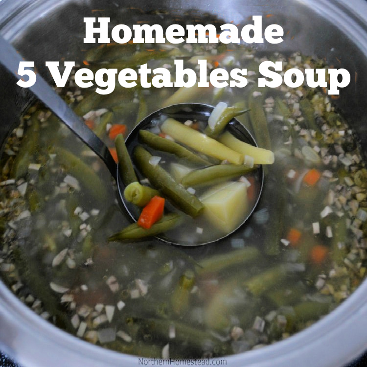 Homemade 5 Vegetables Soup