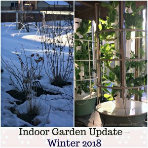 Indoor Garden Update – Winter 2018 on Video