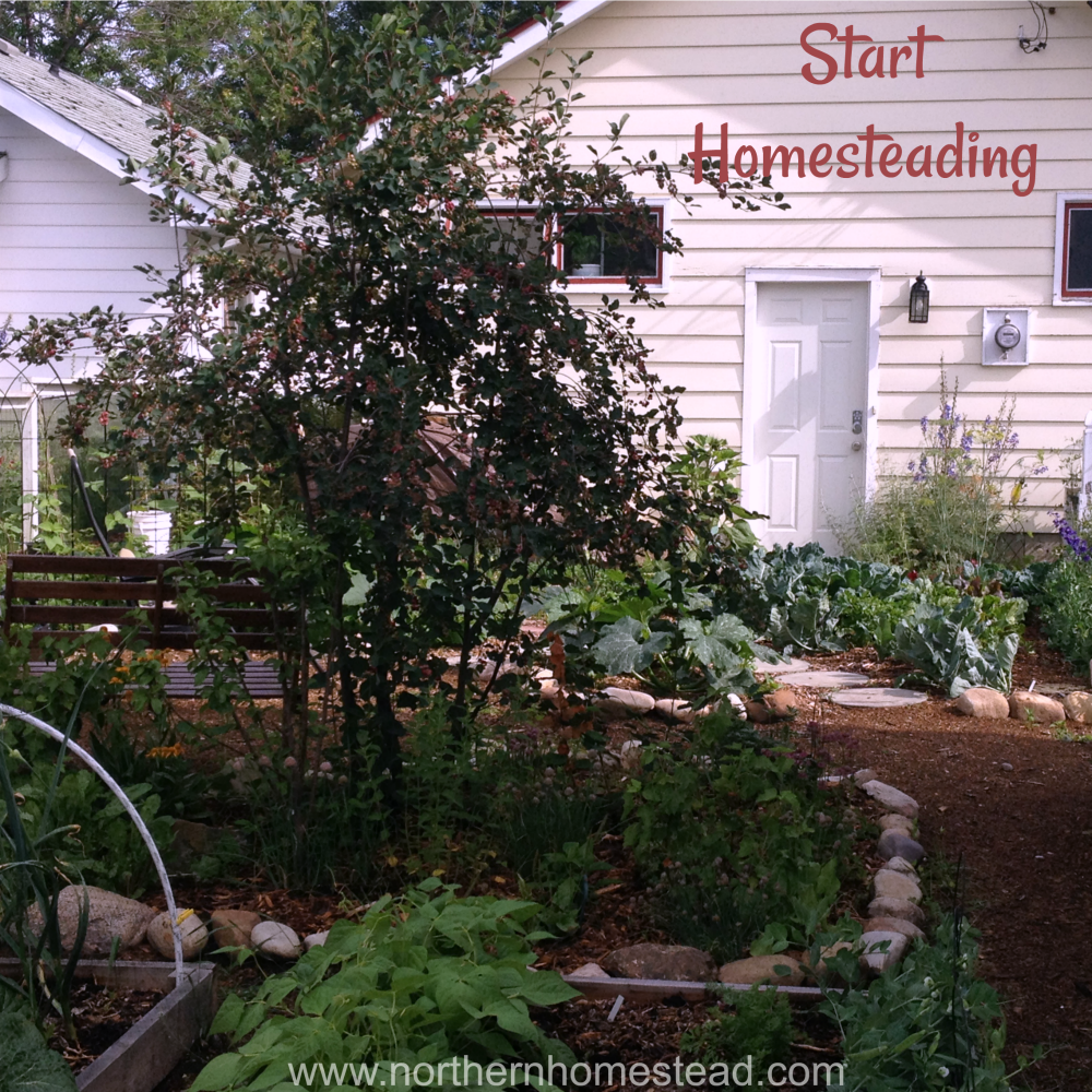 Start (playing) homesteading today. Here are 5 reasons why.