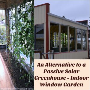 An Alternative to a Passive Solar Greenhouse - Indoor Window Garden