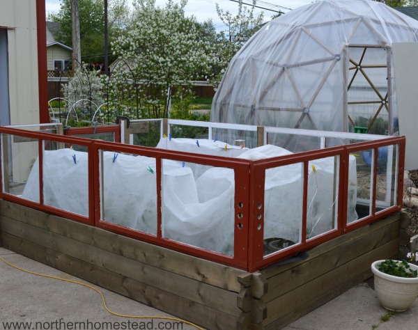 Raised window protected garden