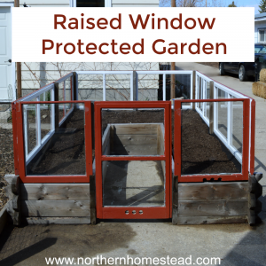 Raised Window Protected Garden