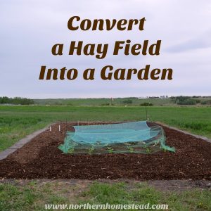 Convert a hay field into a garden