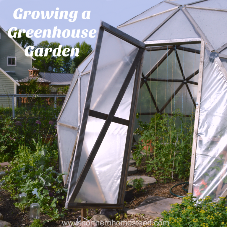 How To Build A Geodesic Dome Greenhouse Using Pipe Connectors Northern Homestead 6382