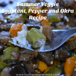 This summer veggie eggplant, pepper and okra recipe is made out of real summer veggies and was inspired by a Filipino friend. it's supper yummy.