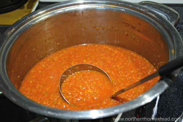 Homemade Ajika salsa recipe
