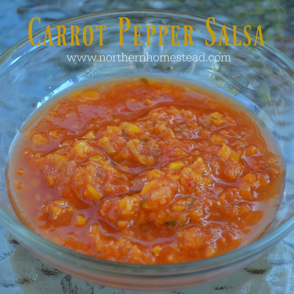 Carrot Pepper Salsa Recipe