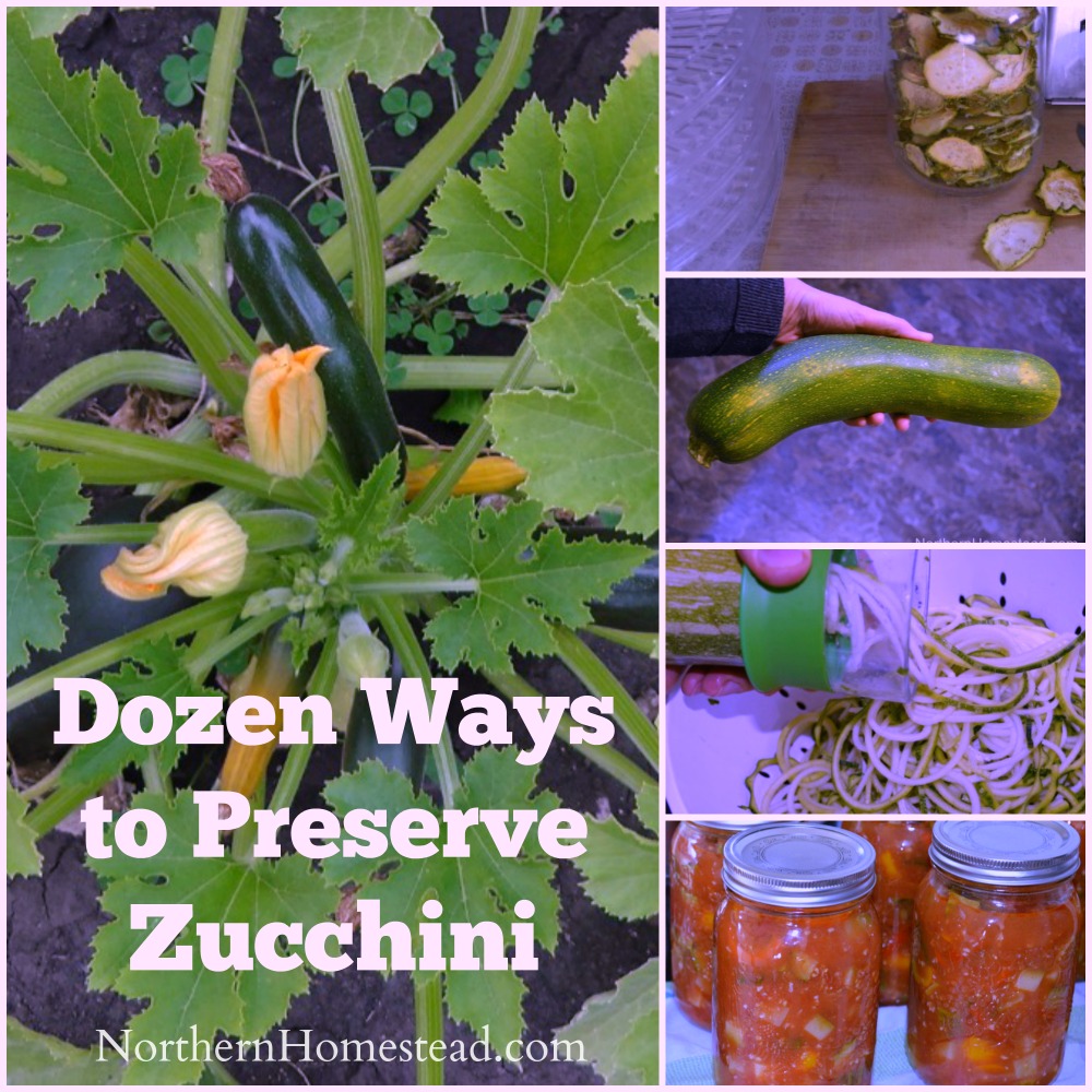 Dozen Ways to Preserve Zucchini