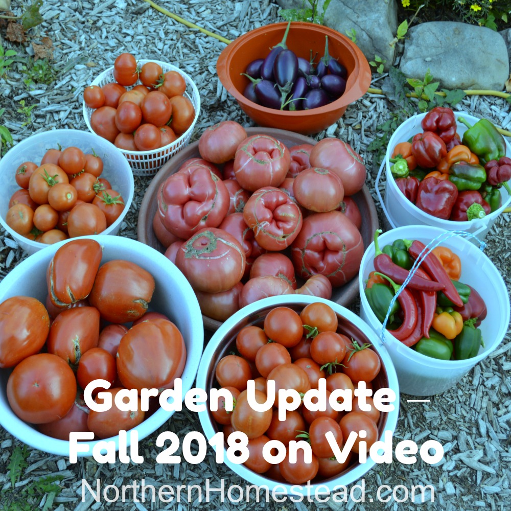 Garden Update – Fall 2018 on Video