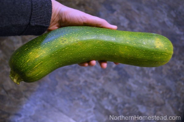 Dozen Ways to Preserve Zucchini