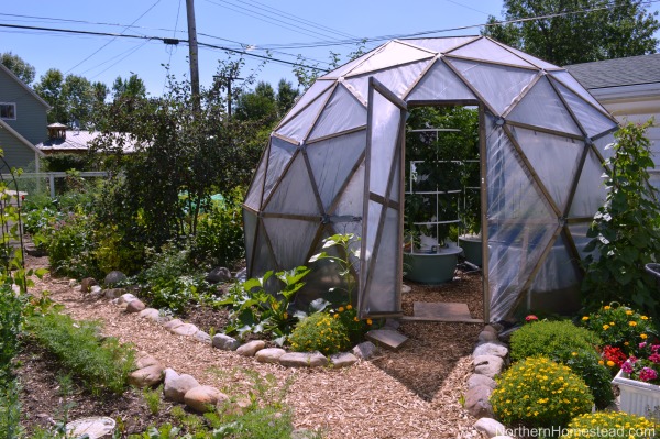 How To Build A Geodesic Dome Greenhouse (DIY GeoDome) - Northern Homestead