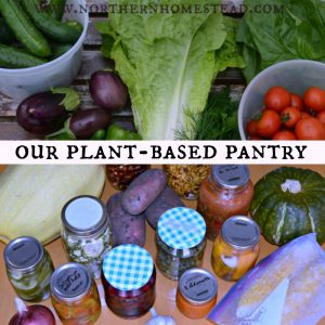Our plant-based pantry