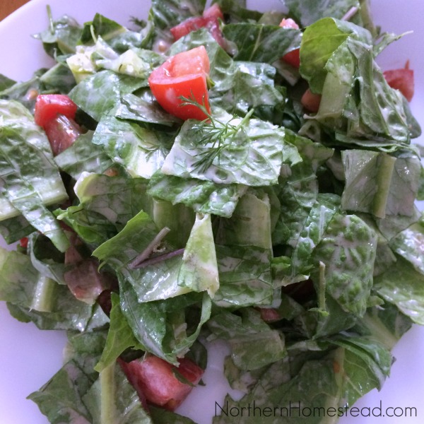 Whole Food Salad Ranch Dressing