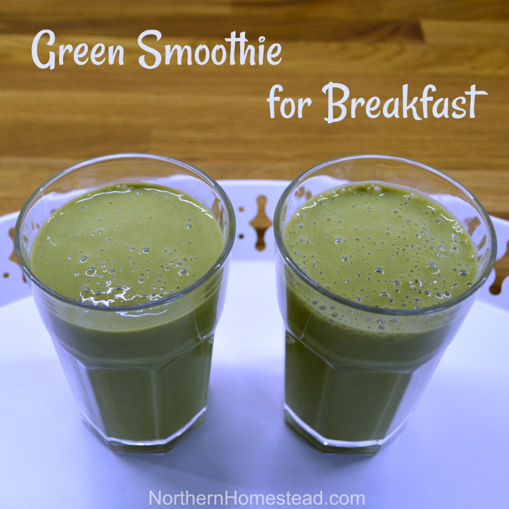 Green Smoothie for Breakfast - Northern Homestead